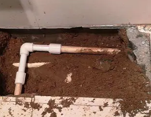 石拐测漏水哪家好