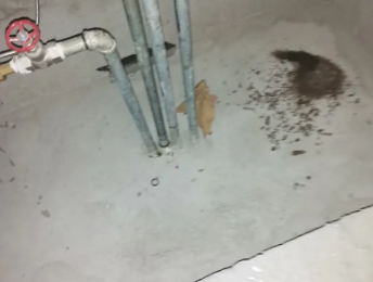 石拐卫生间测漏水价格明细