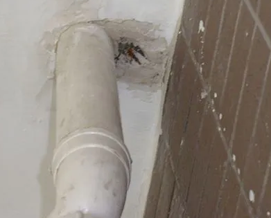 石拐漏水检测哪家好